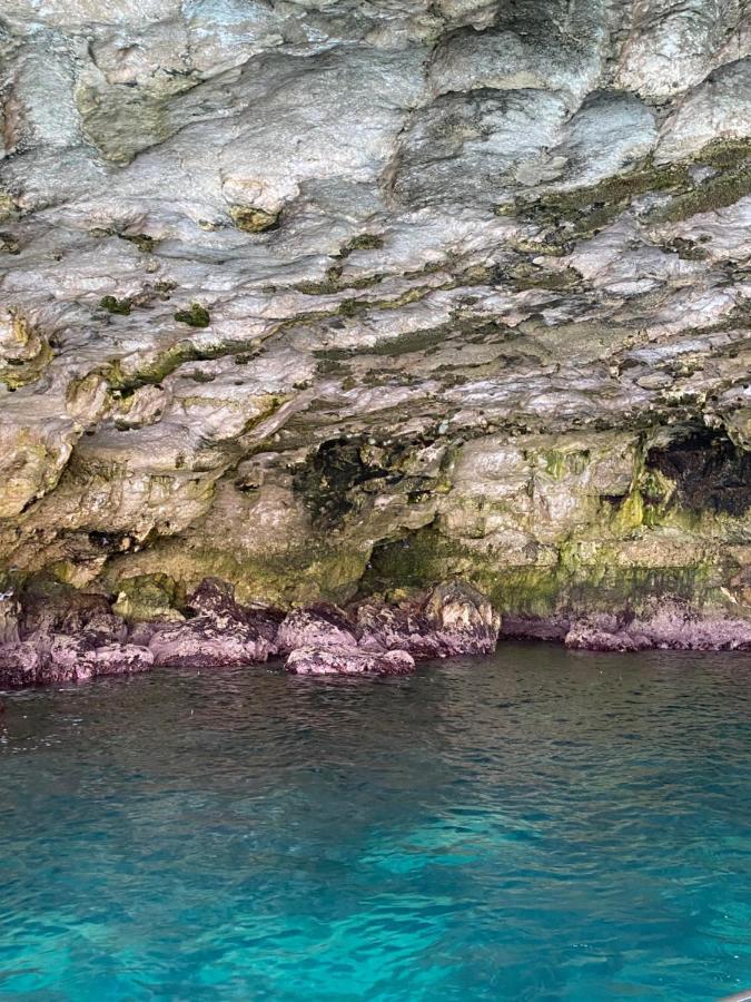 Dimora Alfa Διαμέρισμα Polignano a Mare Εξωτερικό φωτογραφία